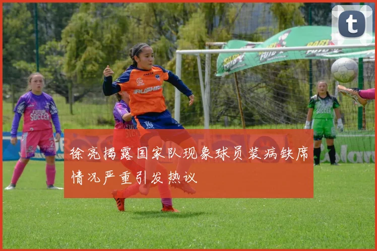 徐亮揭露国家队现象球员装病缺席情况严重引发热议